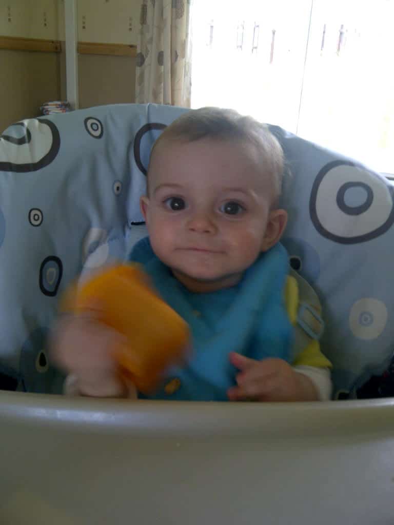 A baby sits in a high chair with a blue patterned cushion, holding an orange object and looking at the camera. Sunlight streams through the window, capturing a moment that shows Simply Everything You Need for mealtime comfort.
