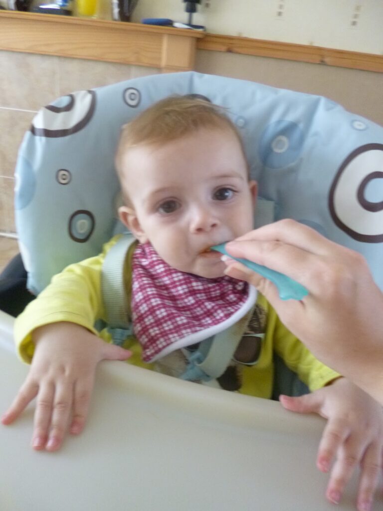 A baby in a highchair wearing a bib embarks on Taste Adventures, being fed with a spoon by an adult’s hand. The baby looks at the camera while savouring each bite.