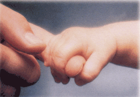 A close-up of an adult hand gently holding a newborn baby's tiny hand, with the baby gripping the adult's finger—capturing tender moments that reflect parenting realities. The background is softly blurred.