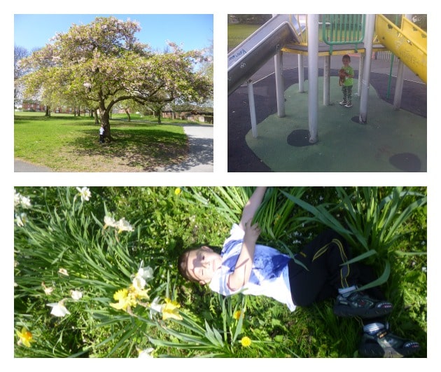 A collage of three photos: a child standing under a blooming tree in a park, a child near slides at a playground, and a child lying in grass and flowers, smiling at the camera—fun moments exploring nature and playing on the slides.