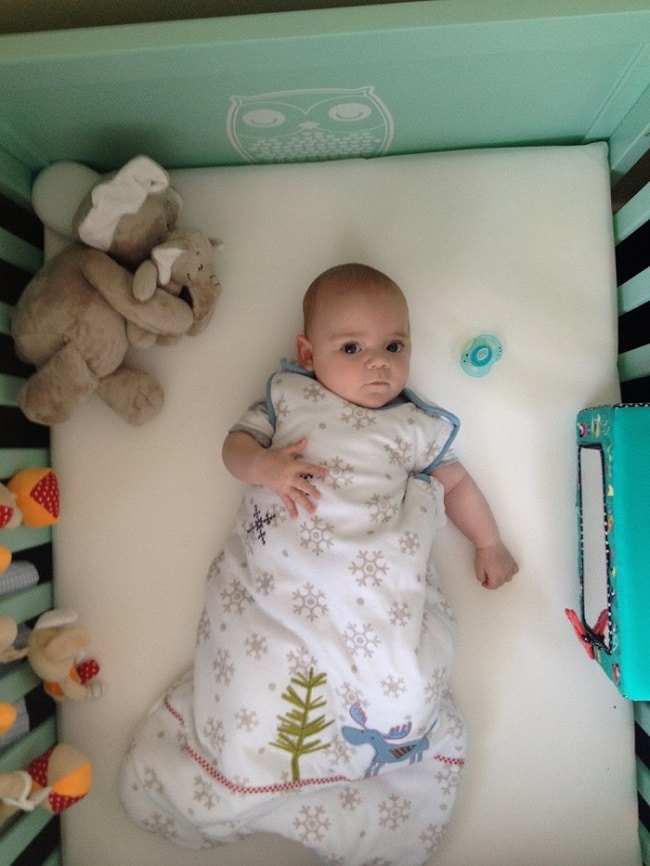 A baby in a sleep sack lies in a Cosatto Story Owlet Cotbed with mint green sides. A plush elephant and dummy are nearby. The cot mattress and bedding are white, and the sleep sack has a tree and bird design.