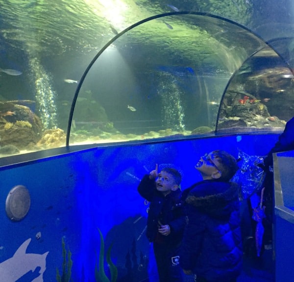 Two children in dark coats look up excitedly at fish swimming above them in a glass tunnel at Scarborough Sea Life Sanctuary, surrounded by blue lighting and underwater-themed decorations.