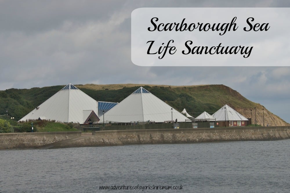 White pyramid-shaped buildings of the Scarborough Sea Life Sanctuary sit near the water with grassy hills and a cloudy sky in the background; text overlay reads "Scarborough aquarium Sea Life Sanctuary.