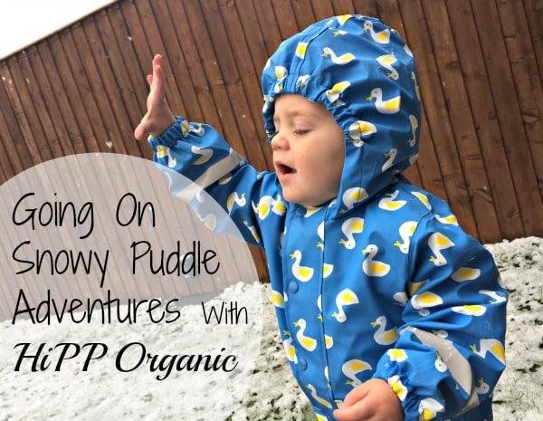 A toddler in a blue raincoat with yellow duck prints reaches out whilst standing on snowy ground, ready for snowy puddle adventures. Text reads: "Going On Snowy Puddle Adventures With HiPP Organic." A wooden fence is in the background.