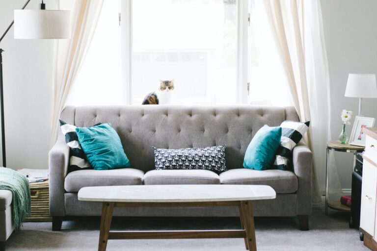 A grey sofa with teal and patterned cushions sits in front of a bright window with sheer curtains. A cat rests on the windowsill, adding charm to this cosy living room—perfect inspiration for 50 shades of grey at home décor.