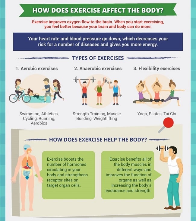 Infographic titled "How Does Exercise Affect the Body?" showing types of exercises (aerobic, anaerobic, flexibility) with icons, examples, and benefits like improved oxygen flow and increased muscle strength—plus healthy eating and dietary tips for best results.
