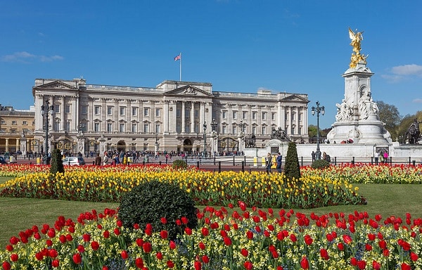 Buckingham Palace and the Victoria Memorial stand amid vibrant tulips and green lawns under a clear blue sky—a must-see among family attractions London offers. Visitors enjoy one of the classic things to do in London near these iconic sights.