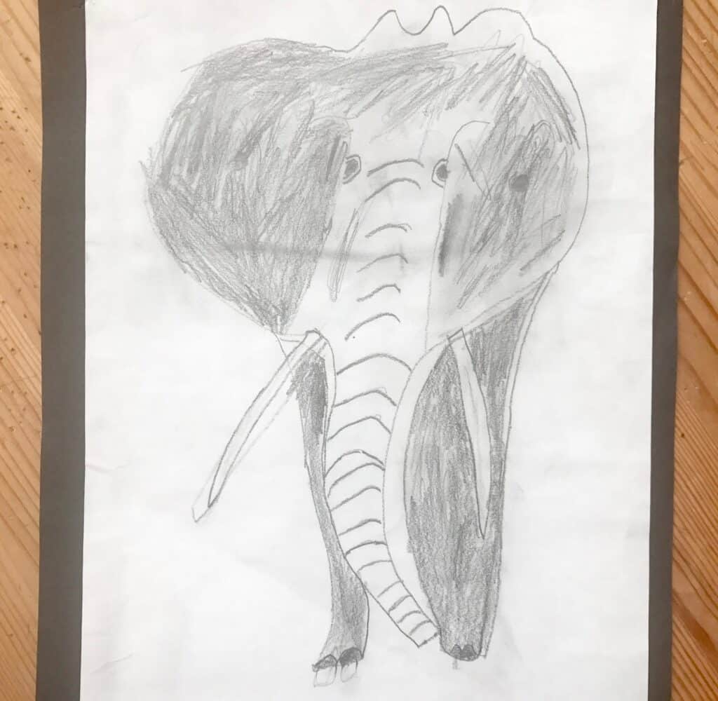 A pencil drawing of an elephant with large ears, a long trunk, and tusks, shown from the front on white paper. Outlined and shaded for detail, this artwork could be created using BIC Kids tools for young artists.