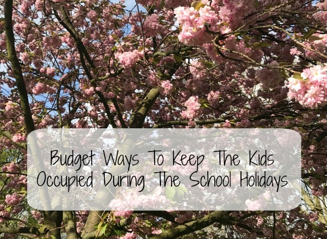 Pink cherry blossom tree branches with a transparent textbox overlay that reads, "Budget Ways To Keep The Kids Occupied During The School Holidays" in handwritten-style font—perfect for sharing creative kids' activities and budget ideas.