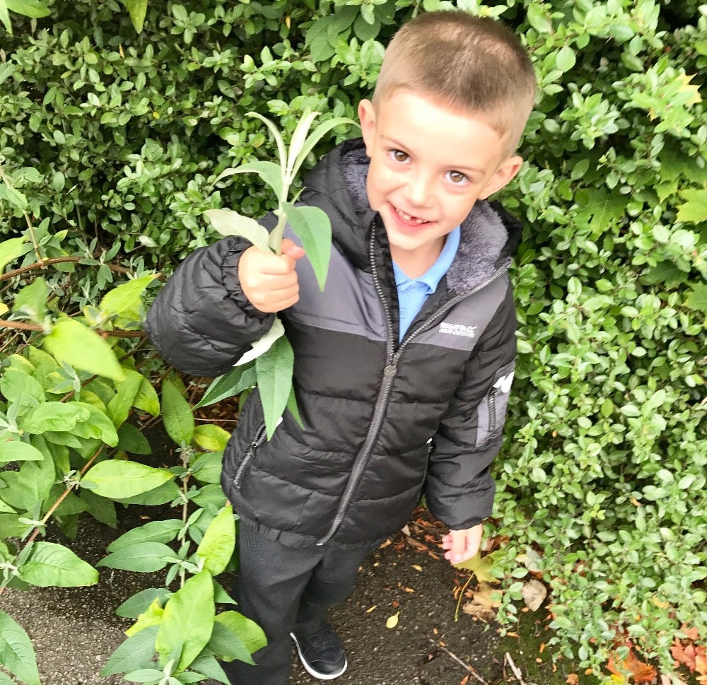A young boy in a black jacket stands on a path next to green bushes, smiling and holding a leafy branch—excited for going back to school and ready with all his essentials.