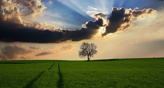 A lone tree stands in the middle of a green field under a dramatic sky with sun rays streaming through dark clouds at sunset. Tyre tracks wind through the grass, leading towards Bristol—a great city to retire and enjoy peaceful moments like this.