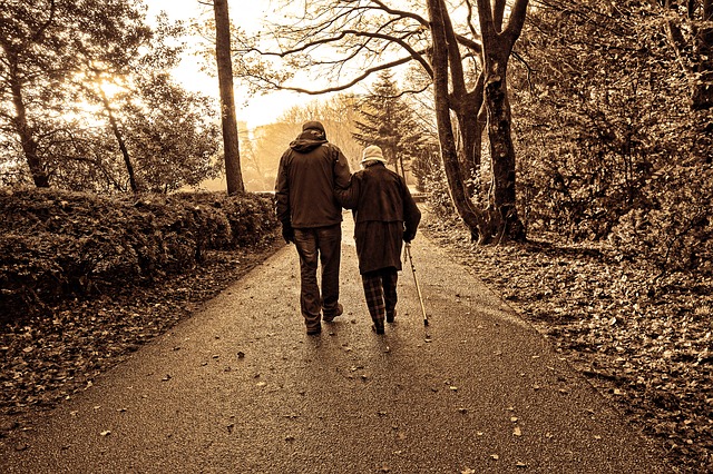 Two elderly people walk arm in arm down a tree-lined path in Bristol, one using a walking stick. The sepia tones give it a warm, nostalgic feel. Leaves cover the ground, evoking an autumn day—perfect for those who retire in this great city.