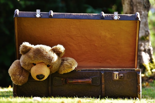 A large brown teddy bear sits partially inside an open vintage suitcase on grass, with trees and sunlight in the background—evoking the warmth and comfort needed when coping with my child's first school residential trip.