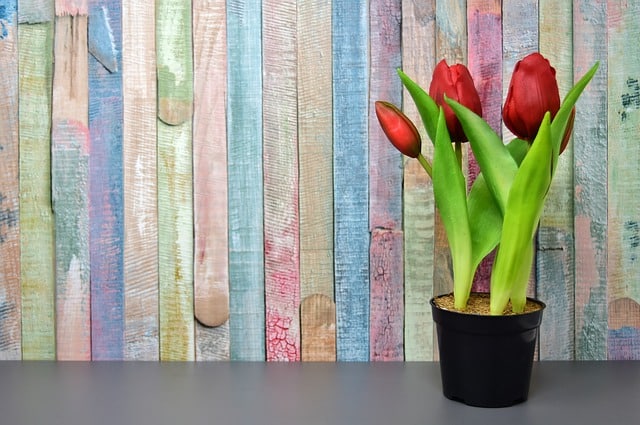 A cool black pot with three red tulips and green leaves sits on a grey surface in front of a colourful, vertically-striped wooden wall, showcasing how artificial plants can brighten any space.