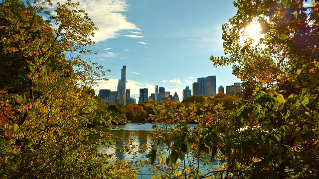 Sunlight shines through leafy trees framing a view of a pond, with the New York City skyline rising beyond—a peaceful moment highlighting how thoughtful urban planning and city design can support mental health.