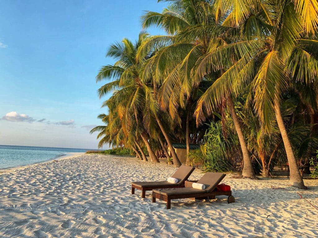 Two wooden sun loungers with cushions sit on a white sandy beach under tall palm trees, facing the calm blue sea—a sunlit, peaceful scene perfect for a tropical honeymoon holiday.