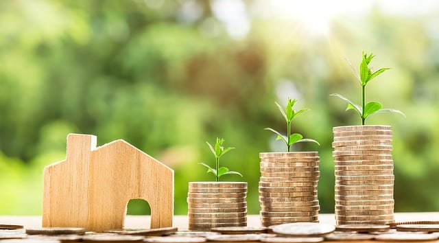 A small wooden house model sits next to three stacks of coins, each topped with a young green plant, symbolising how home improvement can add value and boost financial growth in property, with a sunny, blurred nature background.
