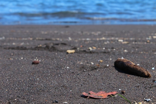 A close-up of a sandy Tenerife beach with a brown leaf and a piece of driftwood in the foreground. The background features gentle ocean waves and blue water softly out of focus.