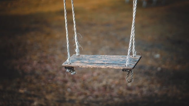 A weathered wooden swing hangs by frayed ropes, suspended above a blurred brown and grassy ground, evoking nostalgia and quiet solitude—an ideal accent for an easy-to-maintain garden.