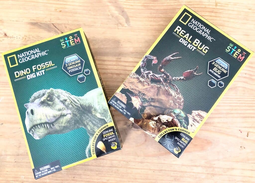 Two National Geographic STEM Dig Kits rest on a wooden surface: the Dino Fossil Dig Kit with a dinosaur image, and the Real Bug Dig Kit featuring plastic bugs. Both boxes highlight "3 genuine specimens" inside—perfect for any STEM review!.