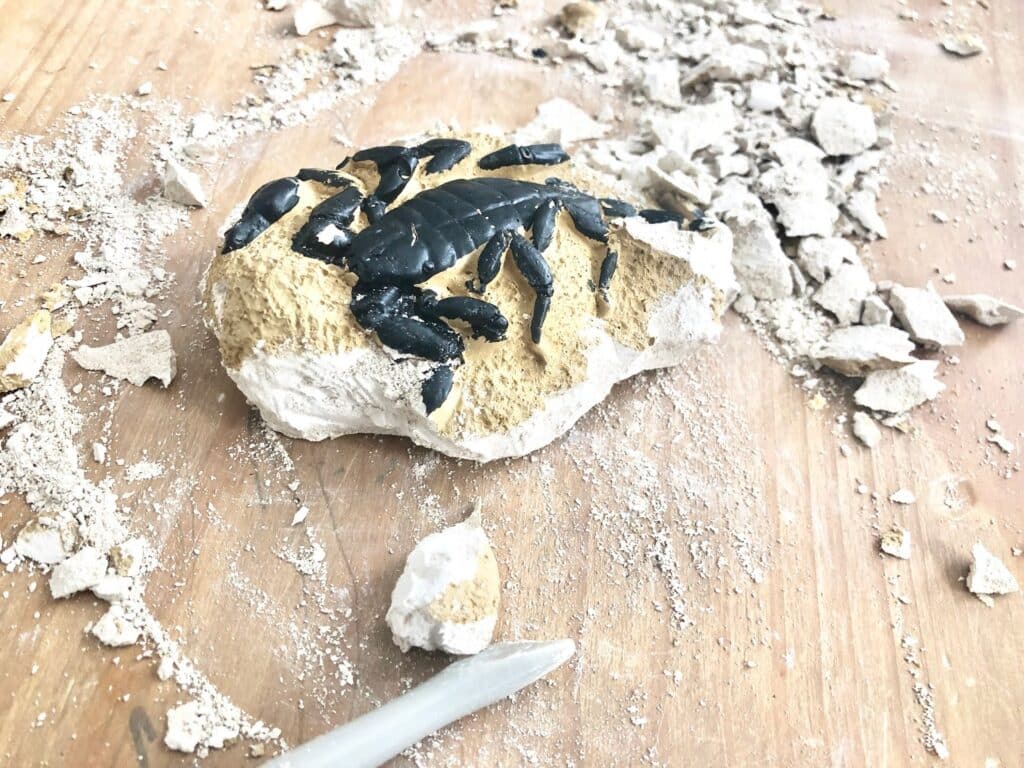 A black toy scorpion is partially embedded in a chunk of plaster, surrounded by broken plaster pieces and dust on a wooden surface, with a plastic digging tool nearby—perfect for your next STEM Dig Kits review.