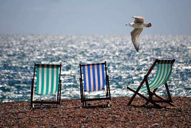 Three striped deckchairs are set on a pebbled beach facing a shimmering sea, with a seagull flying nearby—just the spot to reflect on four ways to successfully save more money under a bright sky.