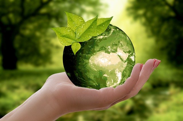 A hand holds a green globe with leaves sprouting from the top, symbolising environmentally friendly practices and sustainability, set against a blurred natural background with trees and sunlight.
