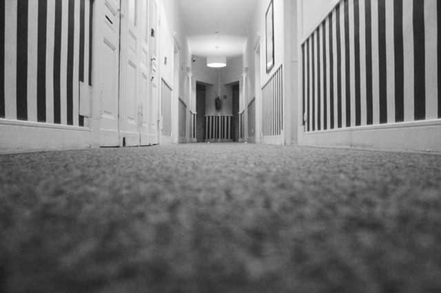 A low-angle view of a carpeted corridor with striped wallpaper, white doors on the left, and a ceiling light fitting at the far end. The image highlights a clean long pile carpet in black and white.