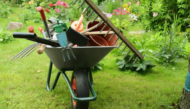A wheelbarrow filled with various gardening tools, flower pots, and a rake stands on a grassy lawn in a lush garden with blooming flowers—perfect inspiration for those seeking Gardeners' Advice.