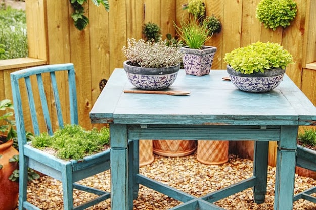 A blue wooden table and chair sit in a lush garden, with flower pots of green plants on the table; moss covers the chair seat, whilst decorative greenery hangs on a wooden fence in the background.