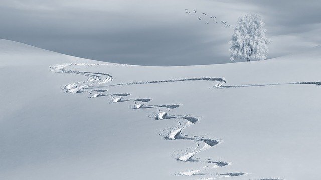 A snow-covered landscape with zigzagging ski tracks, reminiscent of French ski resorts, leads up a gentle hill. In the background, a lone frosted tree stands under a pale sky as a flock of birds flies overhead.
