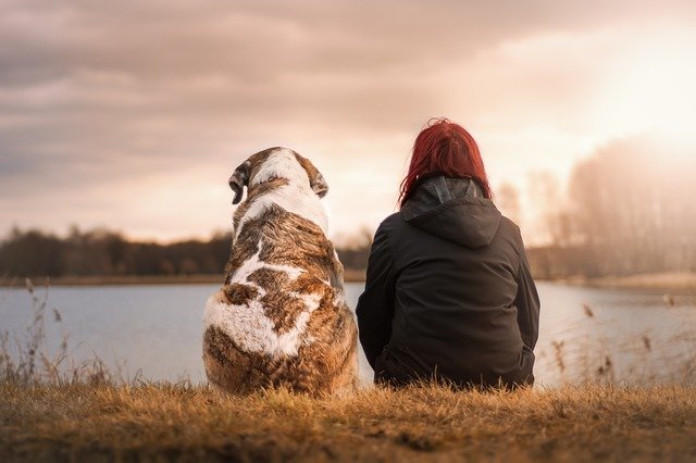 A person with red hair and a large brown and white older dog sit side by side on the grass, facing a calm lake at sunset, with trees and a cloudy sky in the background.