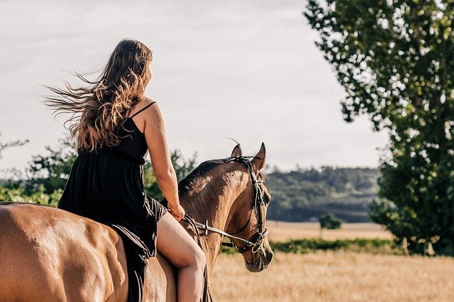 A woman with long hair wearing a black dress rides a brown horse through a grassy field, enjoying outdoor activities beneath open sky and trees—a picturesque setting that offers low Covid risk.