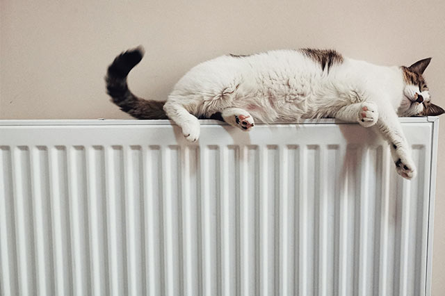 A white and brown cat is lying stretched out and relaxed on top of a white radiator against a beige wall, enjoying the calm whilst you’re busy preparing home for holidays. Its front legs dangle over the edge, and its eyes are partially closed.