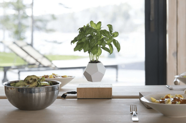 A small potted basil plant in a geometric white pot sits on a wooden table set with bowls of food and cutlery, offering a glimpse into the future of interior design amid a blurred outdoor view in the background.