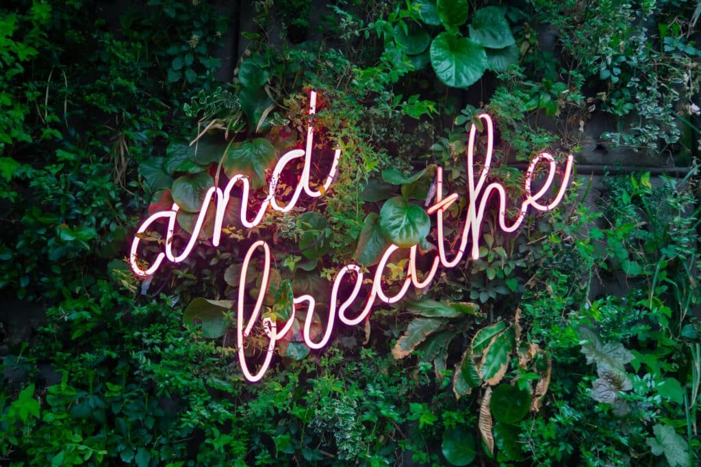Neon pink cursive sign reading "and breathe" is mounted on a lush green wall covered with various leafy plants—a perfect reminder to pause and discover 5 ways to get back to you amidst nature’s calm.