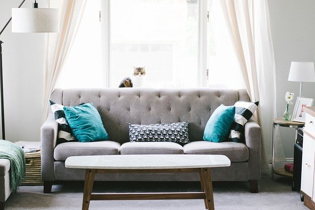 Bright living room with a grey sofa, teal and patterned cushions, a light wooden coffee table, and a cat on the windowsill. Sheer curtains frame the large window—details that make your house feel like a home.