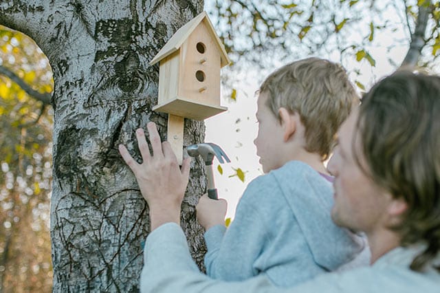An adult helps a child hammer a nail to attach a wooden bird box to a tree in a sunlit outdoor setting, using essential tools from their toolbox. The child holds the hammer while the adult steadies the bird box and guides them.