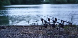 Four fishing rods are set up on rod rests at the edge of a calm lake, inviting a family outing and highlighting why you should take your child angling—it’s a peaceful way to bond amid nature’s beauty under a cloudy sky.