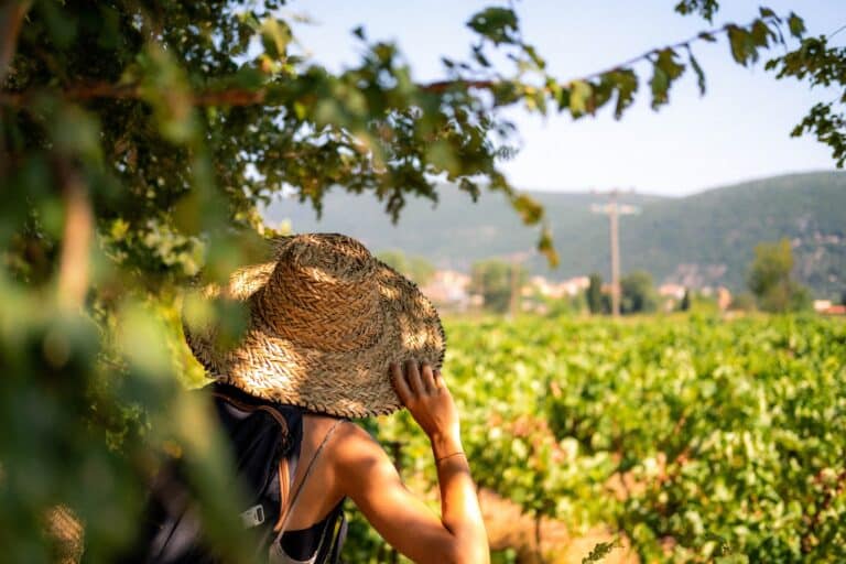 A person wearing a large straw hat and a rucksack stands in a sunlit vineyard, partially shaded by tree branches, showing how to look after your skin in the summer whilst exploring green hills and a village in the background.