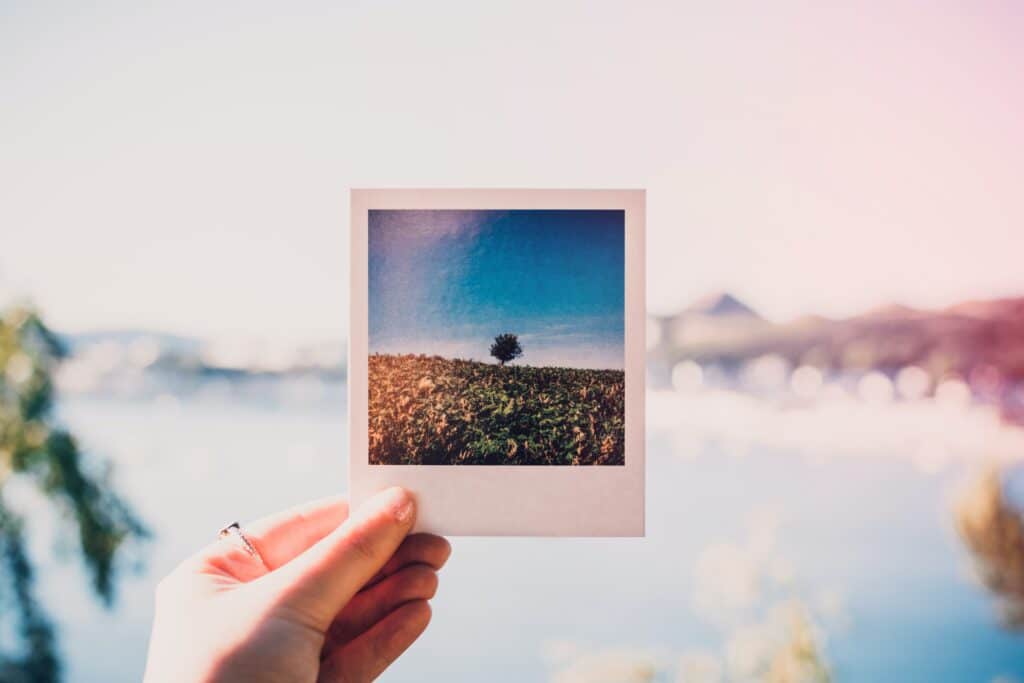 A hand holds a Polaroid photo of a tree in a field against a blue sky, showing how you can capture stunning moments even without an expansive budget—perfect inspiration for those wondering, "How Can I Get Started In Photography Without An Expansive Budget?.