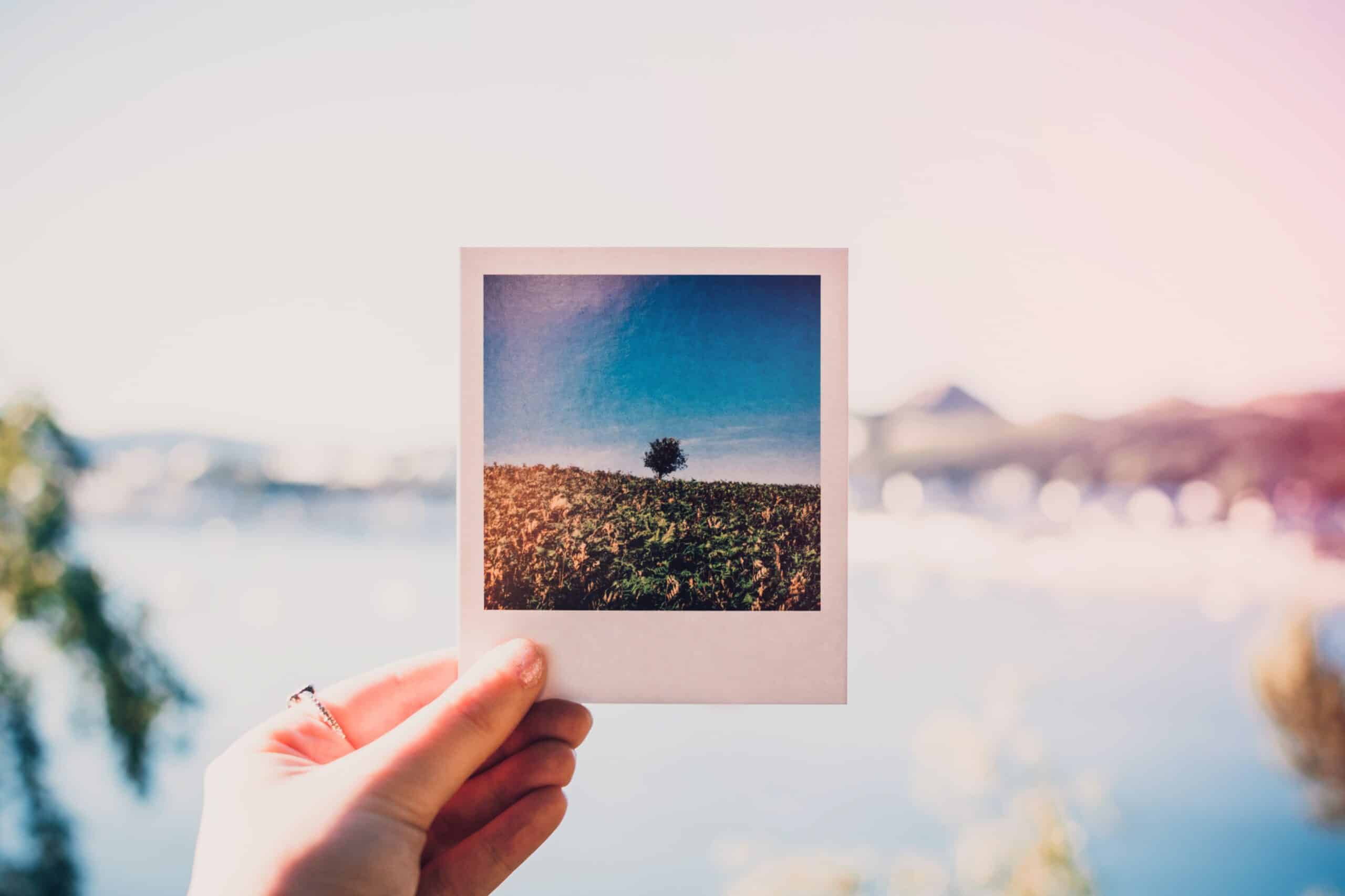 A hand holds a Polaroid photo of a tree in a field against a blue sky, showing how you can capture stunning moments even without an expansive budget—perfect inspiration for those wondering, "How Can I Get Started In Photography Without An Expansive Budget?.