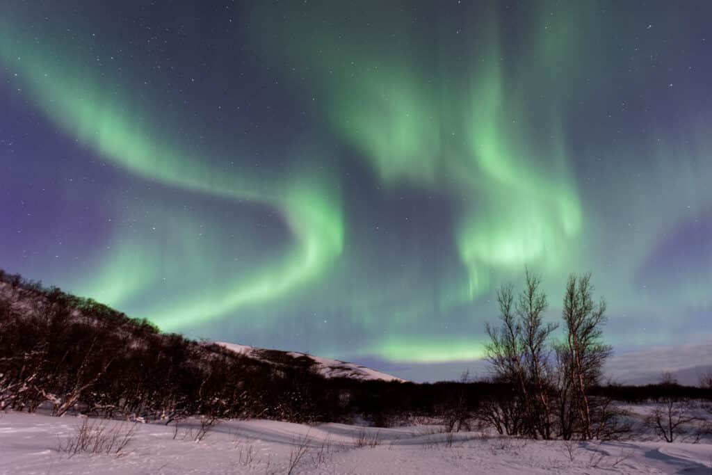 Green and purple aurora borealis lights swirl across a starry night sky above a snowy landscape with leafless trees and distant hills, creating a breathtaking bucket list experience.