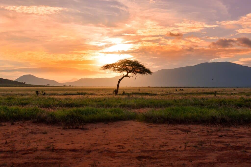 Sunset in Kenya