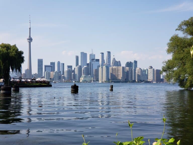 Toronto skyline viewed across the water on a sunny day, featuring the CN Tower and skyscrapers where many choose to live and work, with trees framing the foreground and gentle ripples glistening on the lake.