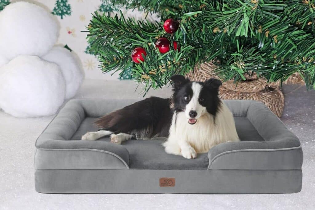 A black and white dog is lying on a grey pet bed in front of a decorated Christmas tree. Large artificial snowballs are on the snowy ground beside the tree, creating a festive winter scene for dogs to enjoy.