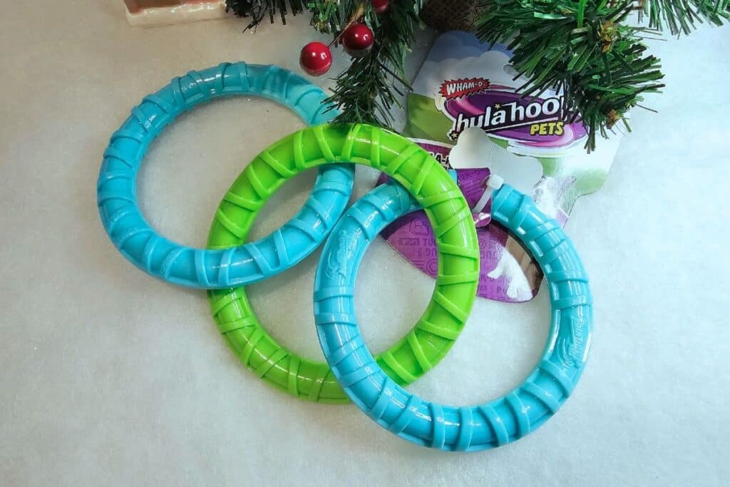 Three large plastic rings—two blue and one green—linked together, placed next to a pine branch with red berries and a "HulaHoop Pets" label in the background, perfect for active dogs to play with and chew.
