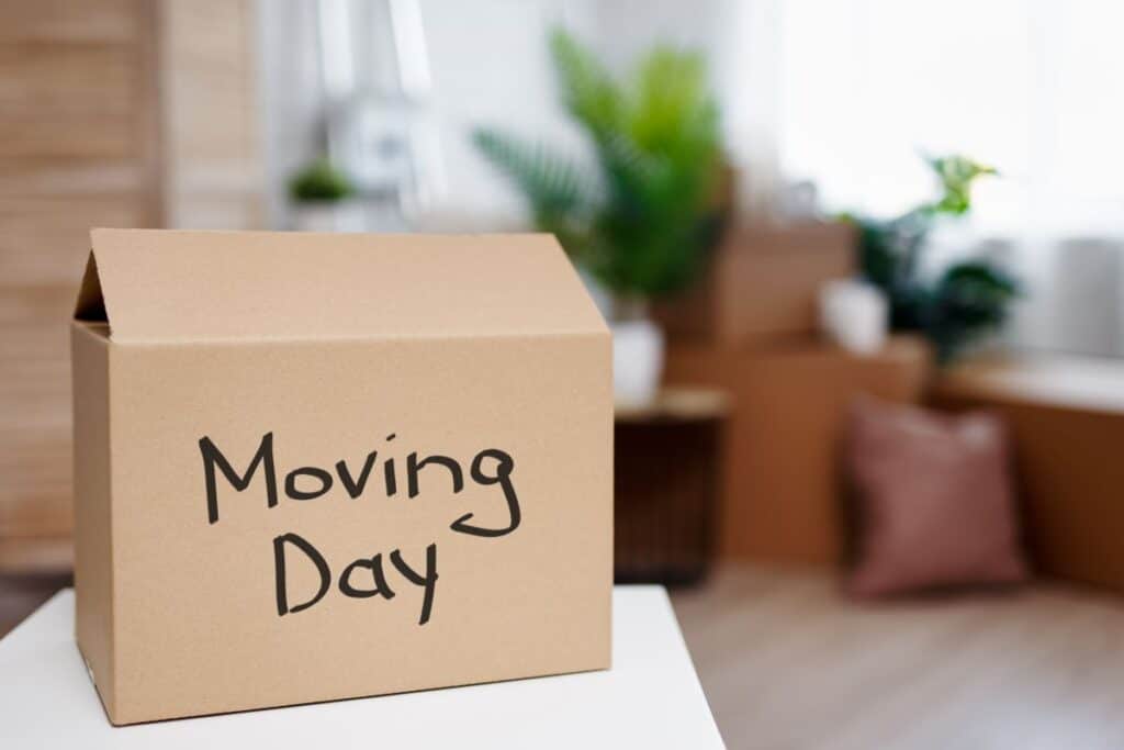 A cardboard box labelled "Moving Day" sits open on a white surface, with blurred packed boxes and houseplants in the background, capturing the anticipation of moving house.