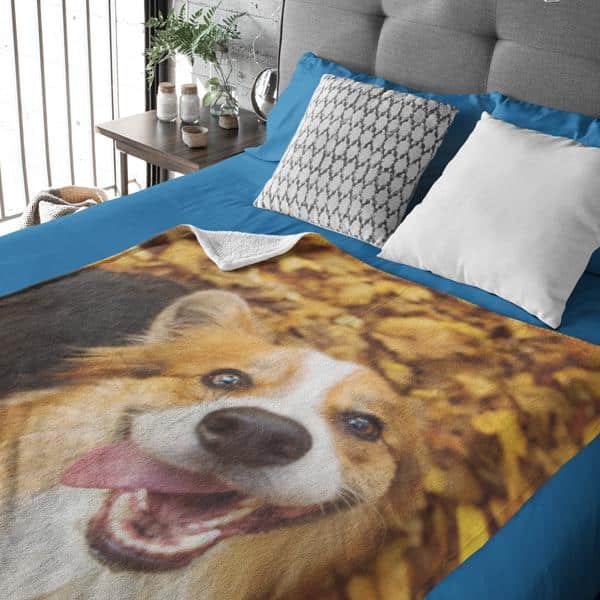 A bed with blue sheets and two pillows, one patterned and one white, features a personalised blanket with a large, smiling dog’s face against autumn leaves. A bedside table with plants and decor is beside the bed.