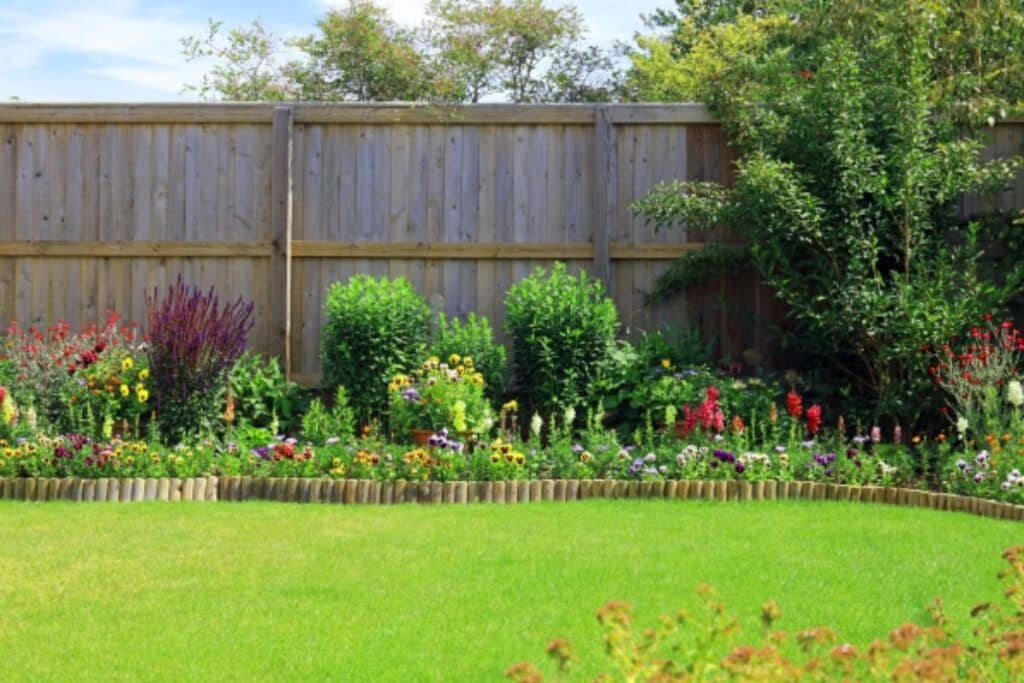 A neatly maintained back garden with a lush green lawn, vibrant blooming flowers, various shrubs, and quality fencing with a wooden fence in the background on a sunny day.